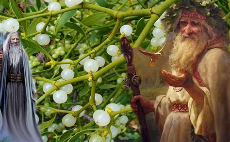 Enchanting spell of mistletoe